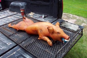 DIY Pig Roast - fully roasted pig