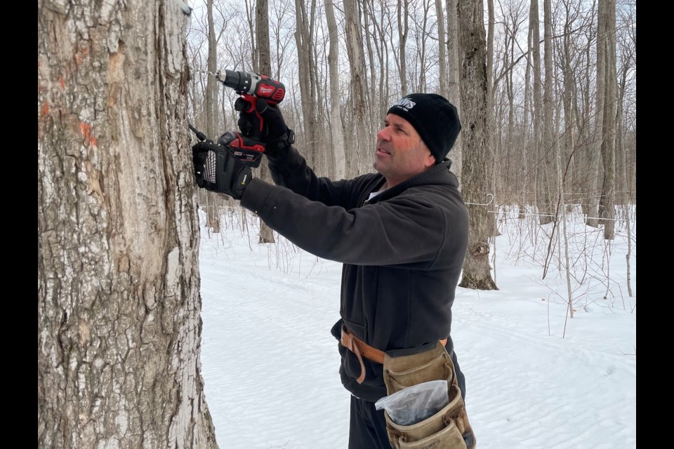 Shaws reopens with COVID protections - Tom drills new taps for 2021 season