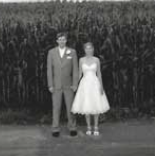 Laura & BJ's pose at the edge of a cornfield at their wedding
