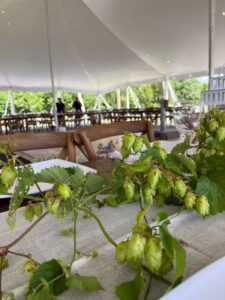 Hops add a special touch to the large dining tent