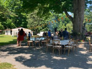 Guests mingle in the shade of the maple