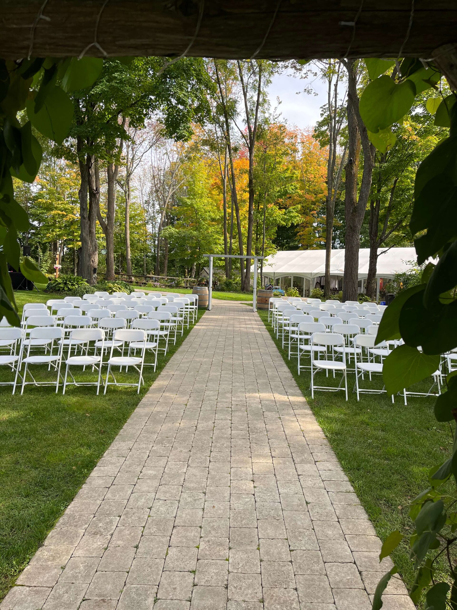 Wedding Ceremony set up outside surrounded by fall trees