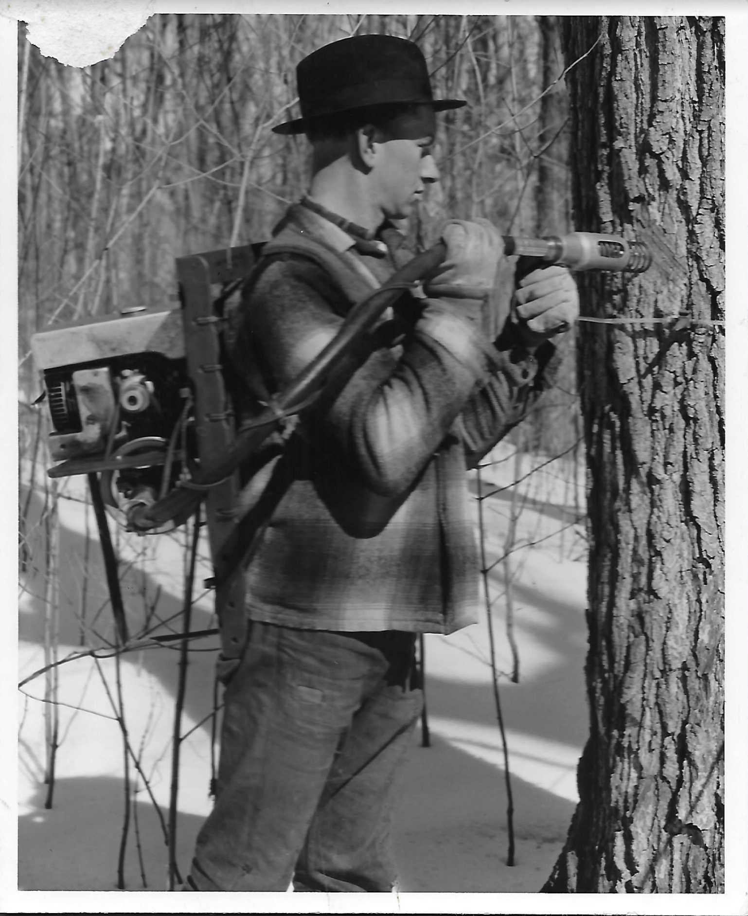 The Baker Family Ontario Maple Syrup Pioneers Shaws Catering