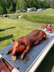 Another perfectly roasted pig, this one on the range - Shaws DIY pig roast