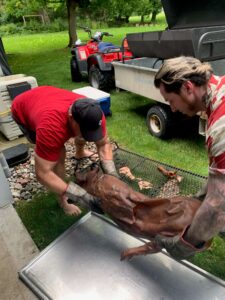 Removing the pig from the bbq at a Shaws DIY Pig Roast