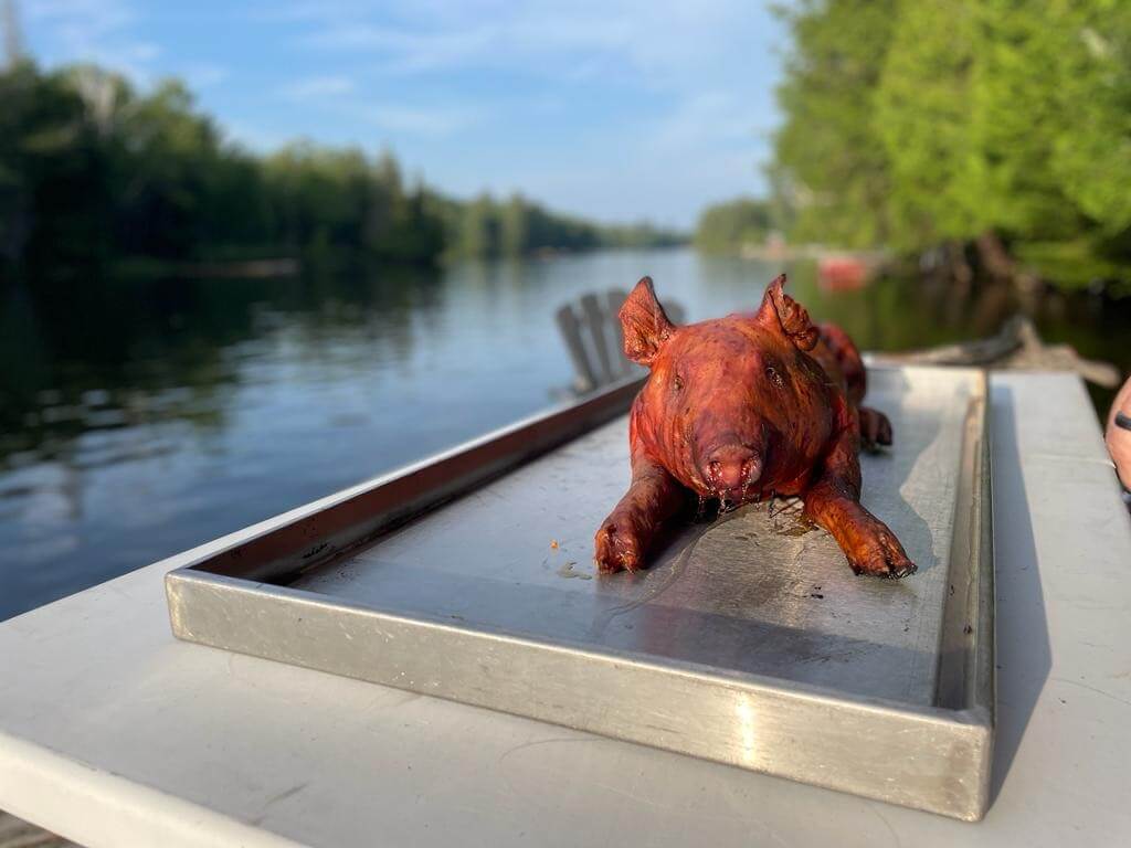 A perfectly roasted pig waits near the water in Haliburton to be carved - Shaws DIY Pig Roast