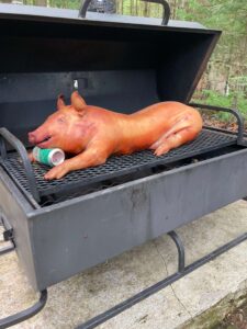 A beer can holds the head up on this Shaws DIY pig roasting on the coals